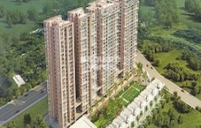 Sikka Kimaantra Greens Featured Image