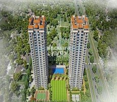 Sunshine Solaris Featured Image