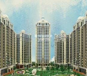 Sunworld Arista
