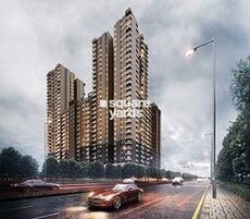 Wave Amore Featured Image