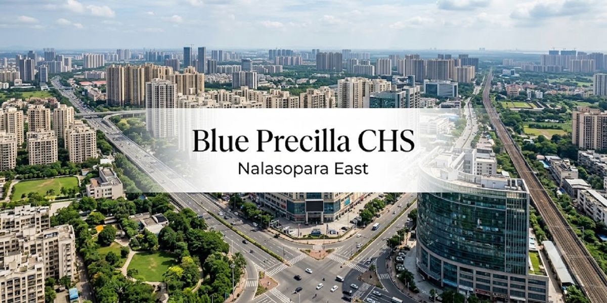 Blue Precilla CHS Featured Image