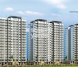 Dattani Vertex Wing AB Phase 1
