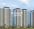 Dattani Vertex Wing CD Phase III