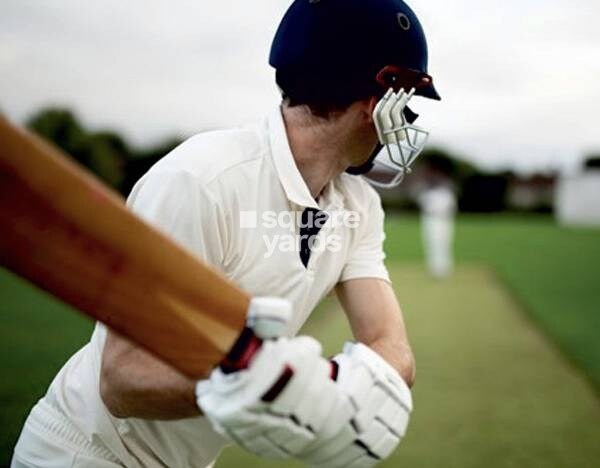 Dattani Vertex Wing CD Phase IV