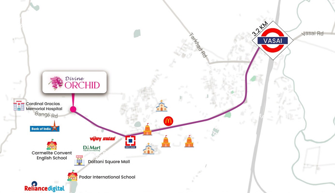 Delight Divine Orchid