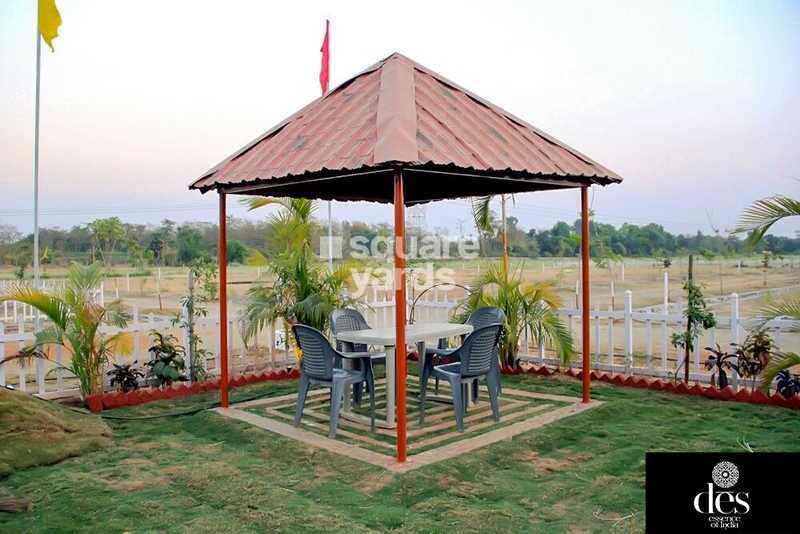 Des Essence Of India