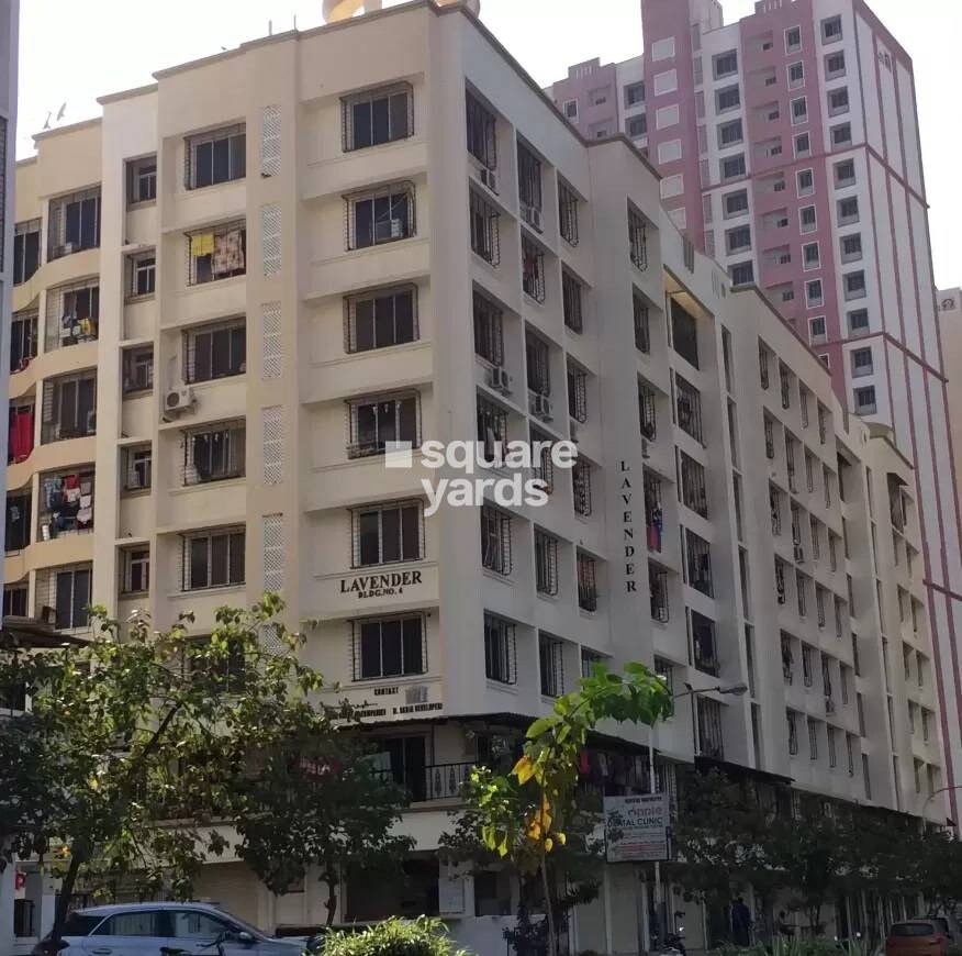 Representative image as actual visual unavailable for M Baria Lavender