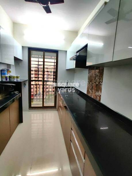 Representative image as actual visual unavailable for Manav Wisteria