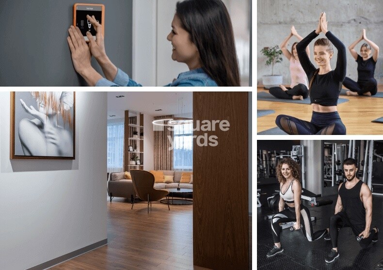 Maryland Bliss Amenities-Features