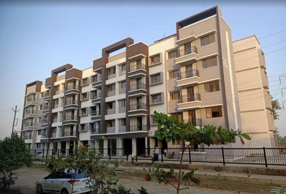 Orchid Hans Heritage