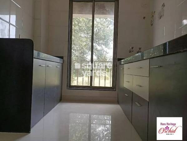 Orchid Hans Heritage