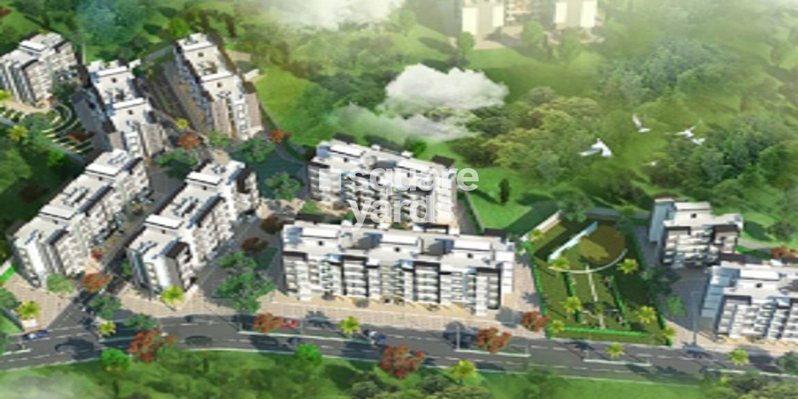 Orchid Hans Heritage