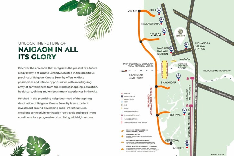 Ornate Serenity Location Image