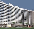 Platinum The Woods Legacy Avenue