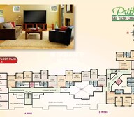 Prithvi Sai Yash Complex Floor Plans