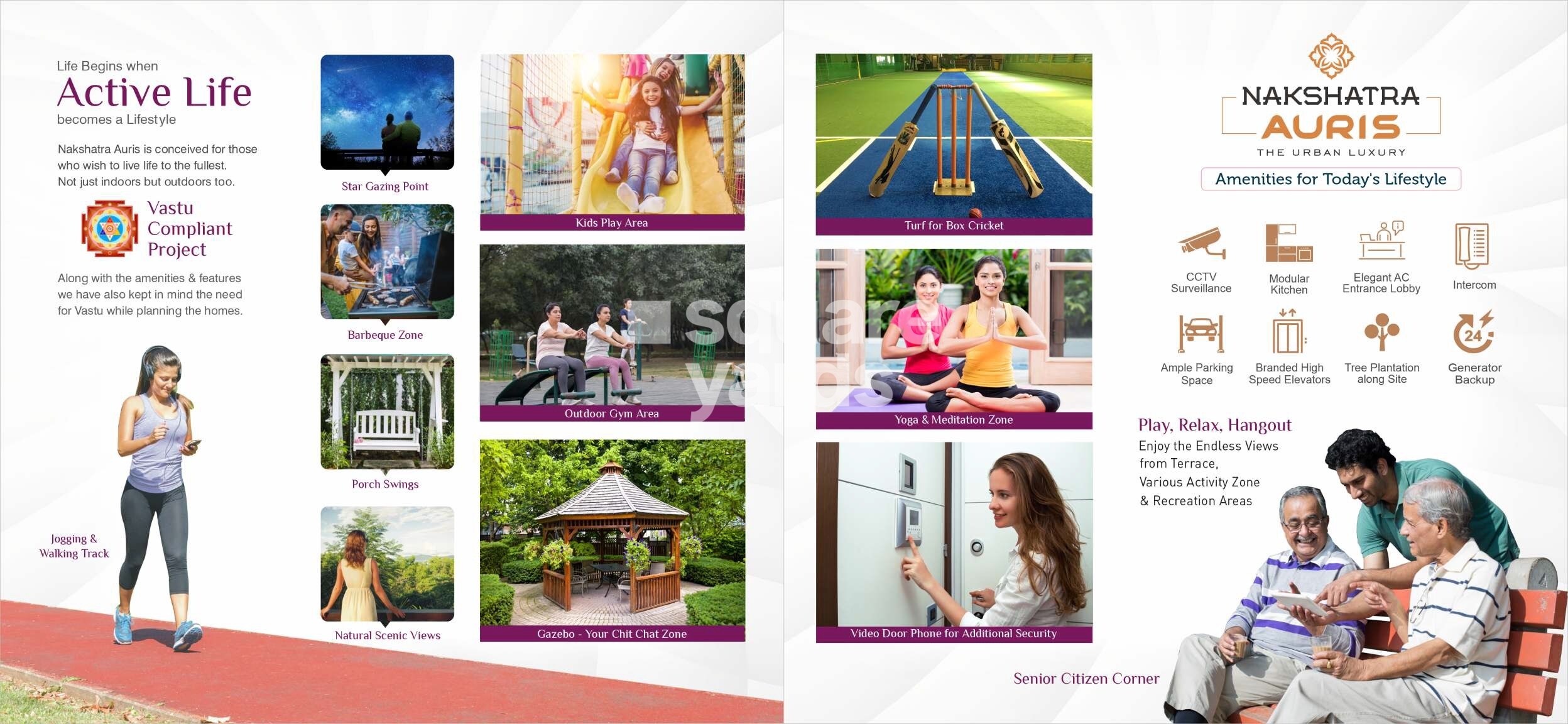 Rajlaxmi Nakshatra Auris Amenities-Features 1