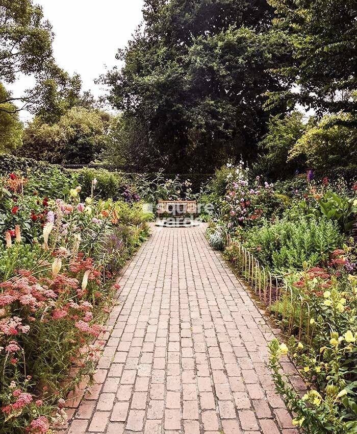 Sai Mldc Yashwant Orchid