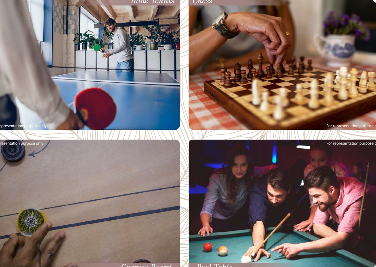 Shantee Sunshine Meadows