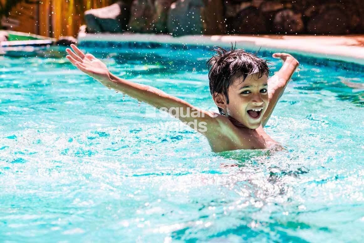 Shapoorji Pallonji Joyville Palm Meadows Amenities-Features