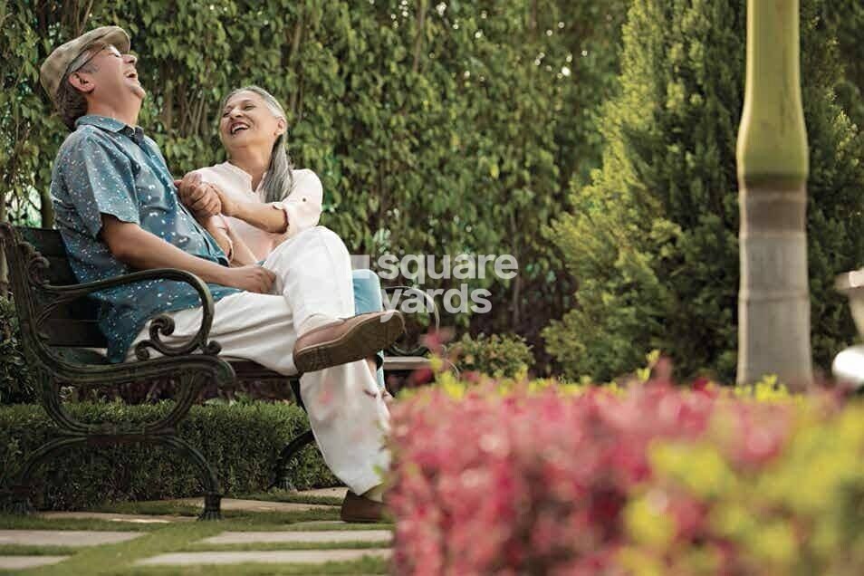 Shapoorji Pallonji Joyville Palm Meadows