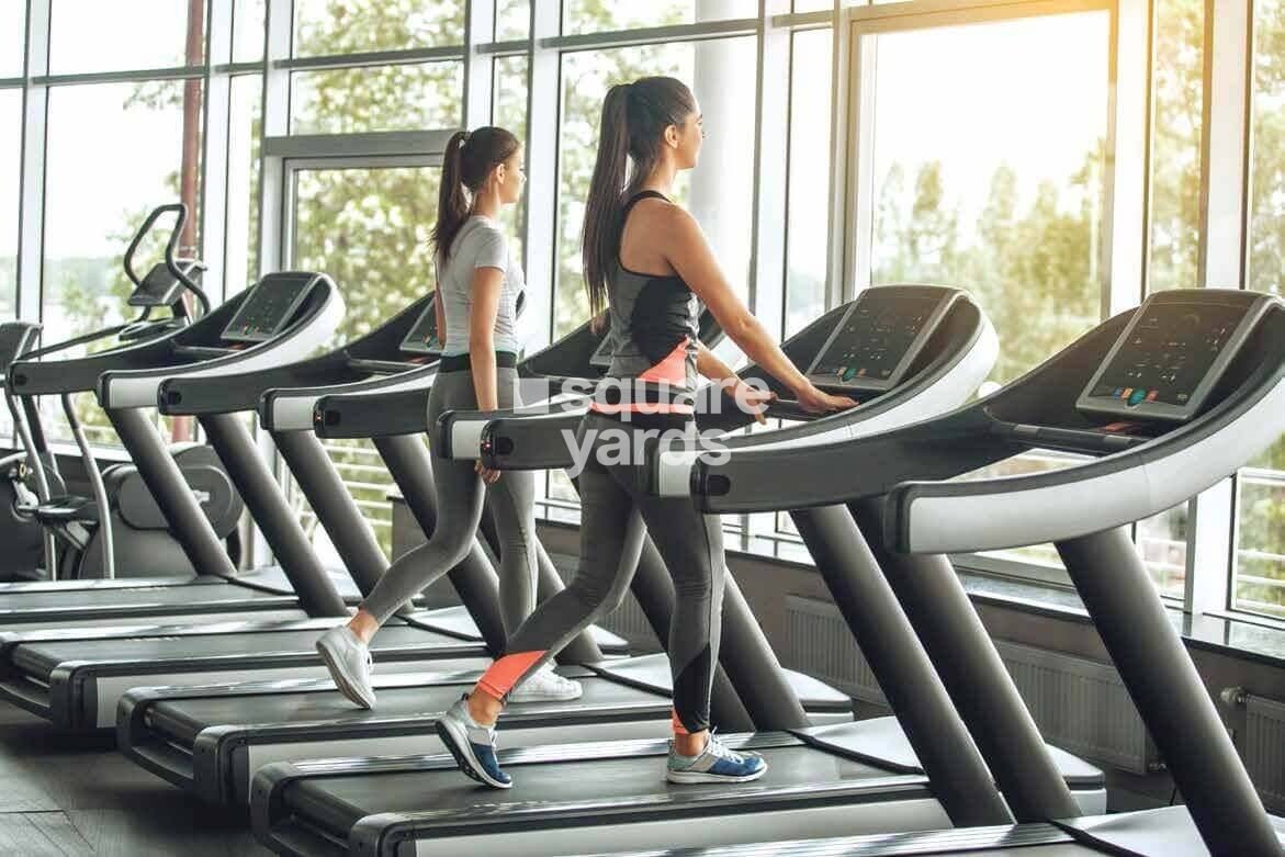 Shapoorji Pallonji Joyville Palm Meadows Amenities-Features 9