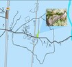Shree Geetanjali Dwarkadhish Nagar Location Image