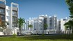 Shree Township Tower View