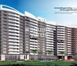 Silverline The Woods Legacy Avenue