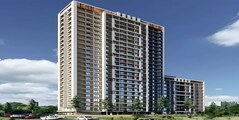 Solitaire Raj Accord