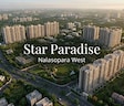Star Paradise