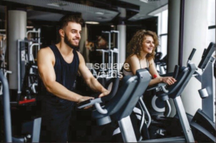 Wonder Park Gymnasium Image