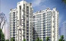 Agarwal Solitaire Featured Image