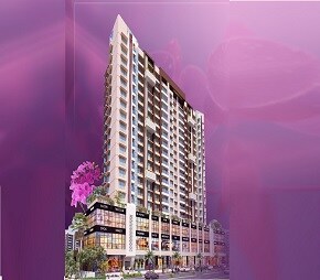 Delight Divine Orchid Video