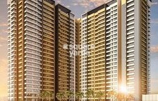 DGS Sheetal Mayra Featured Image