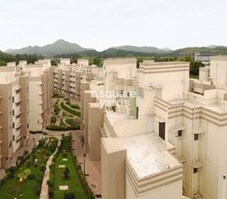 Evershine Tulip CHS Ltd Featured Image