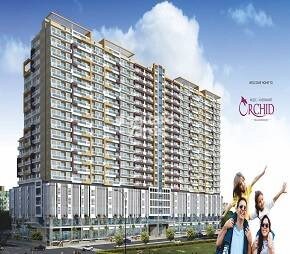 Sai Mldc Yashwant Orchid