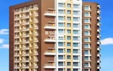 SG Padm Raj Featured Image