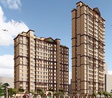 Shantee Sunshine Meadows Featured Image