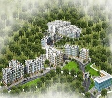 Shree Green City Marigold Featured Image