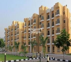 Vaibhav Palghar, Nandore, Palghar