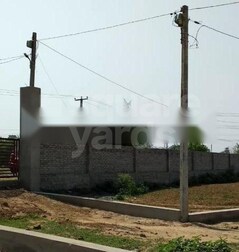 Aaliyas Airocity Aaliyas Airocity