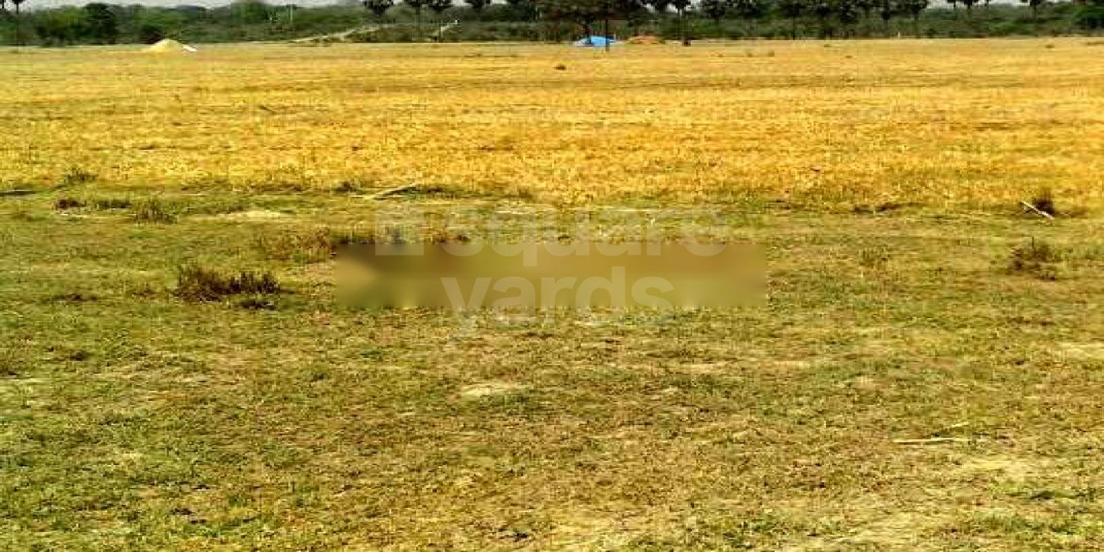 Agrani Prakriti Vihar residential project in Sonepur