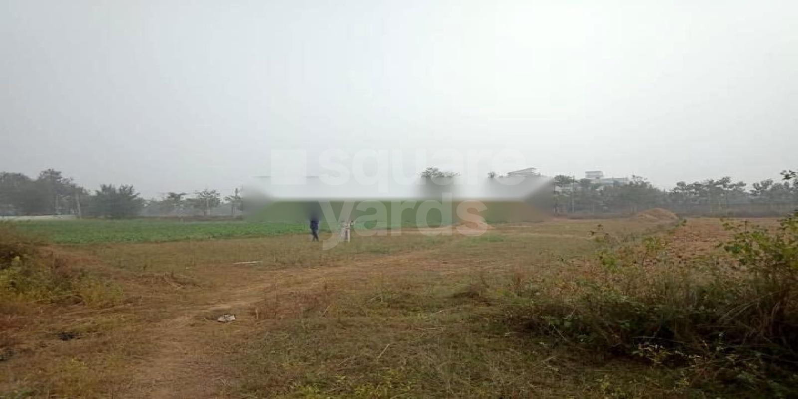 Americco Imperial Garden residential project in Baghakol