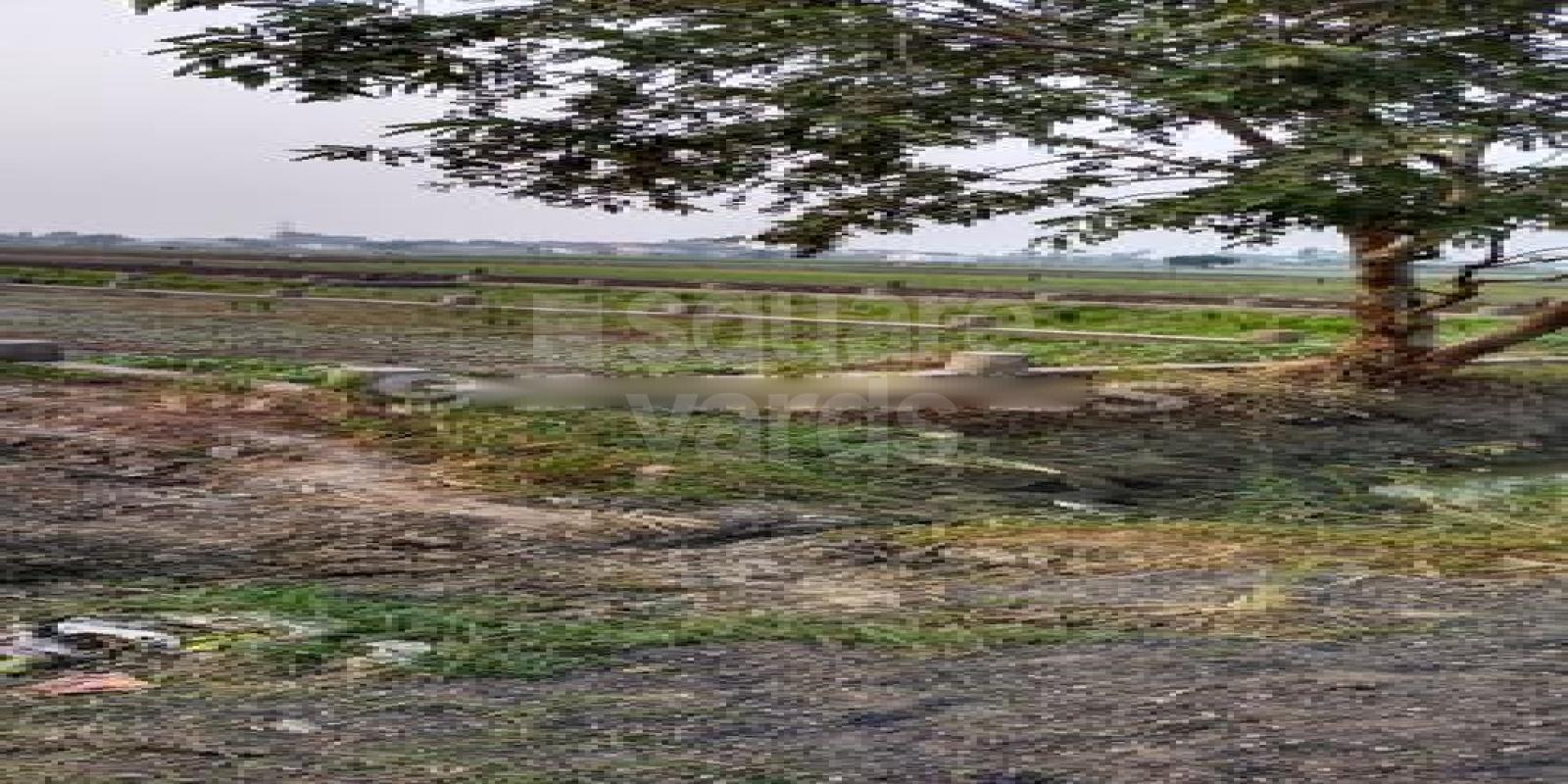 Bairiya City Cover Image