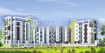 Dev Buildhome Divine Green Cover Image