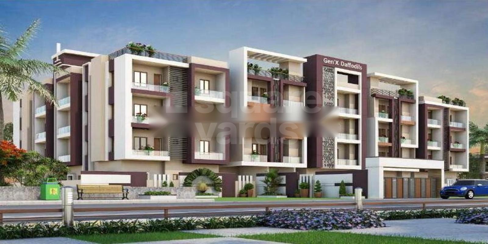 Genxeco Gen X Daffodils