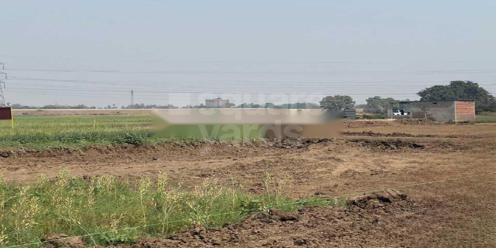 Kinship The Village City