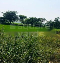 Maurya Budhha Green City Maurya Budhha Green City