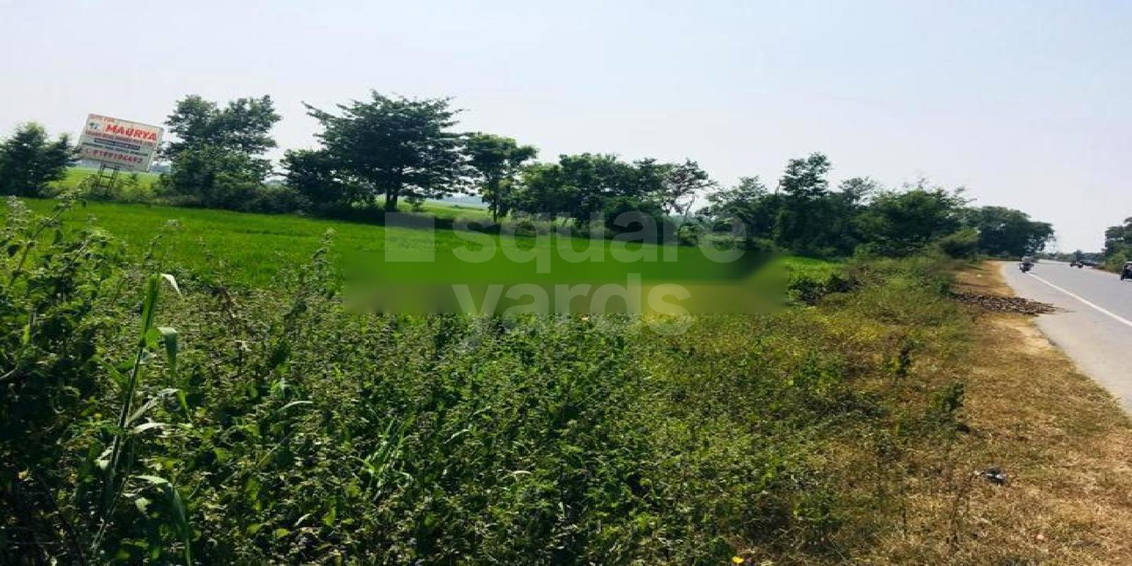 Maurya Budhha Green City