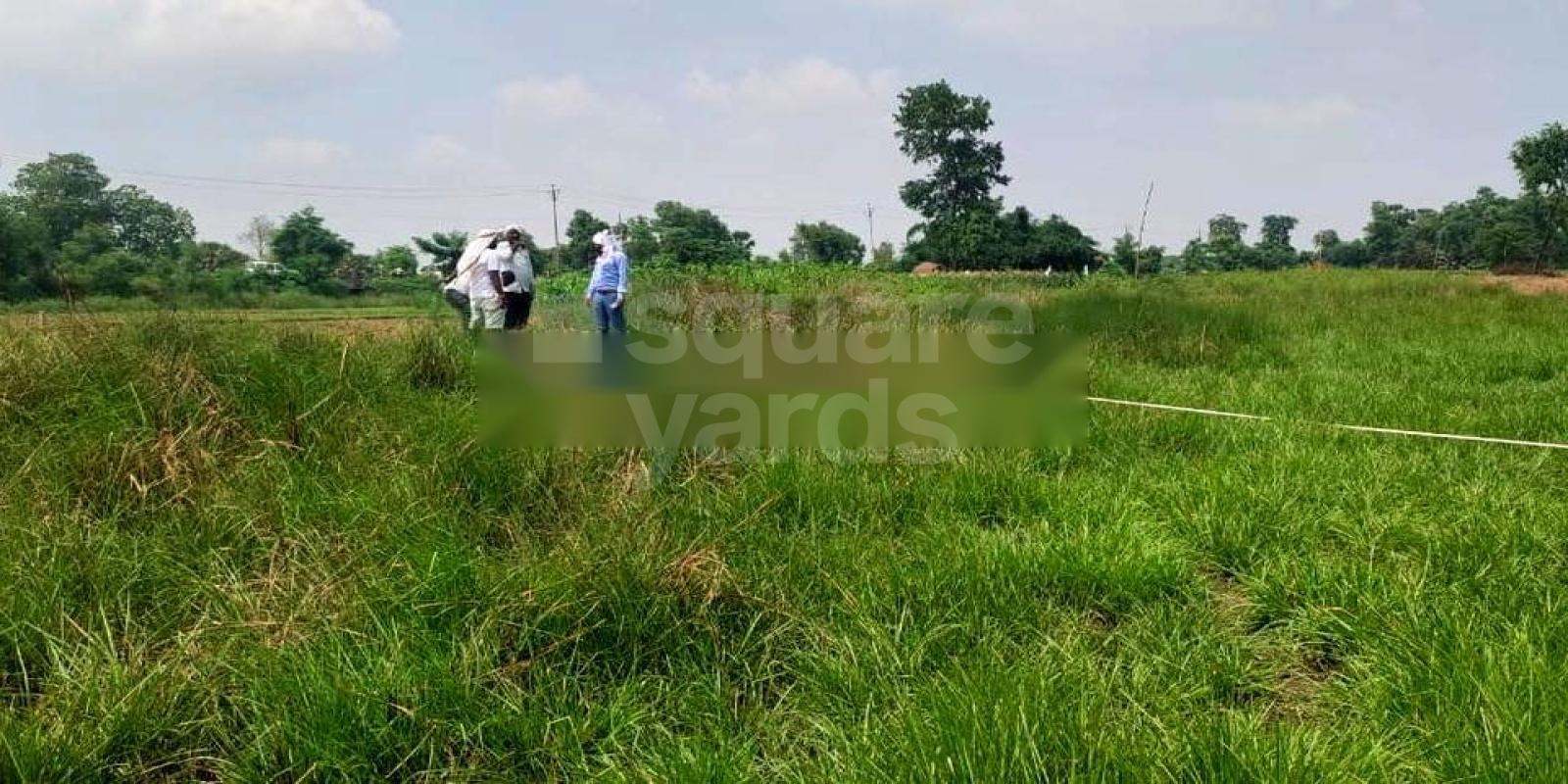 Metro City Luxury Homes